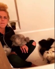 Poules dans la baignoire ? C'est quoi ce délire !
