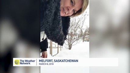 Rester bloqué dans la neige après s'y être roulé...