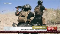 Iraq stalls Fallujah assault to protect civilians
