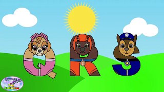 Paw Patrol ABC Song Nursery Rhymes Best Learning Videos For Kids Surprise Egg and Toy Collector SETC