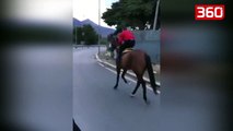 I riu shqiptar po bënte garë me kal në mes të rrugës, përplaset keq me një... (360video)