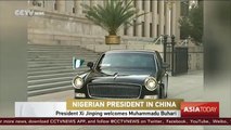 President Xi Jinping holds talks with Nigerian counterpart Muhammadu Buhari