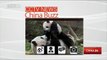 Wild giant panda mother & baby caught on camera