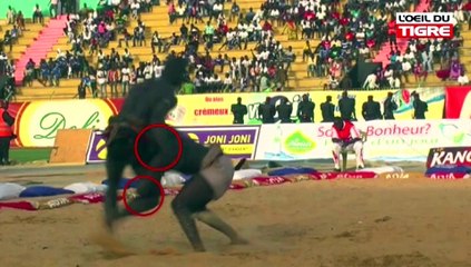 RUBRIQUE CHAMPION du 13 Mars 2018 dans L' Oeil Du Tigre - Partie 2