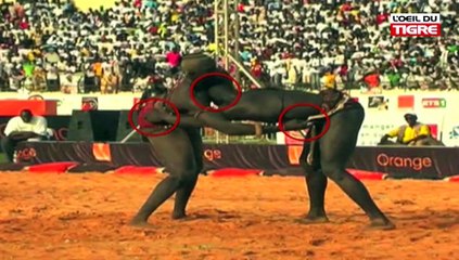 RUBRIQUE JELL BI du 13 Mars 2018 avec SOCOCIM & MALICK NIANG dans L' Oeil Du Tigre