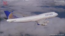 Report: Dog Dies on United Flight After Being Put in Overhead Compartment