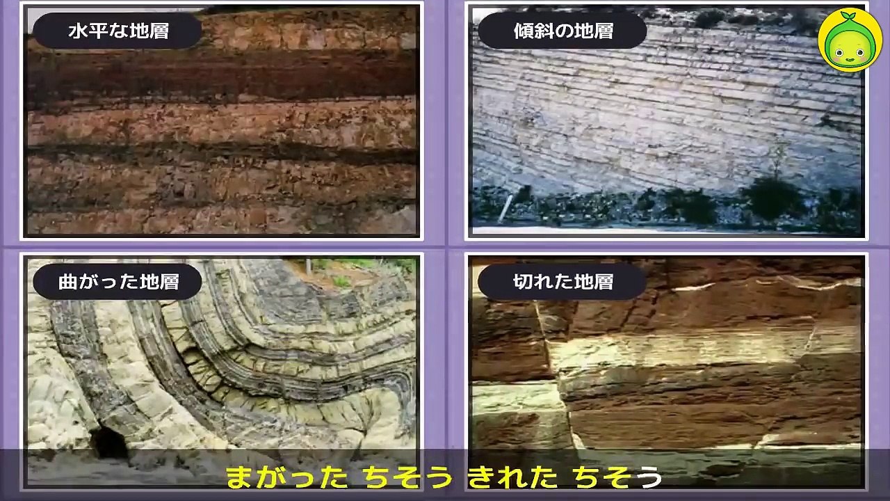 [まめきゅんの理科ソング#16] ちそうのうた 【MAMEKYUNN】