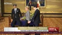 Australian FM condemns DPRK’s rocket launch during Japan visit