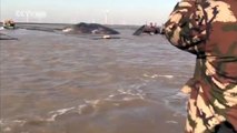 Huge sperm whale found dead on the beach in eastern China