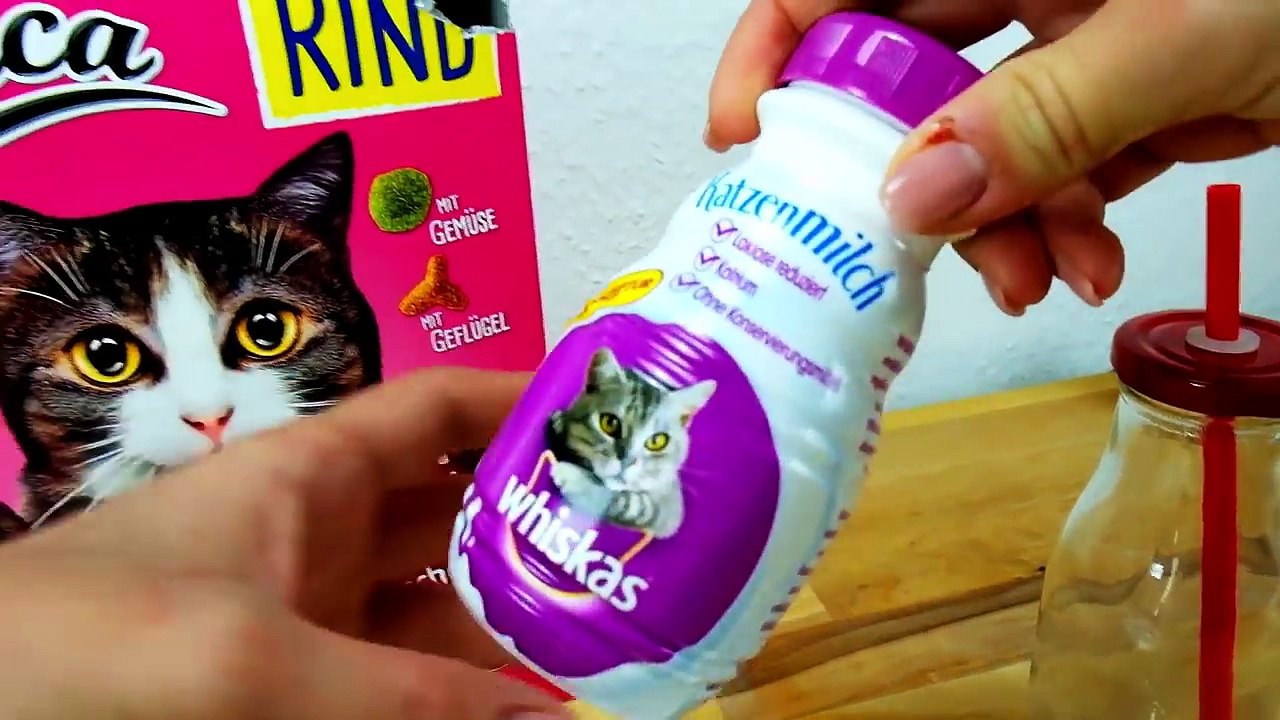 Eating CAT FOOD!!! ASMR Dinner | ASMR eating sounds no talk