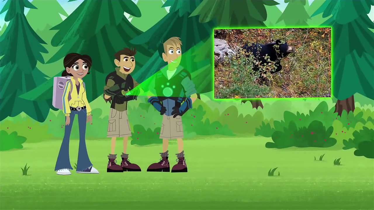 Wild Kratts - Discover Pandas and More Bears! - video Dailymotion