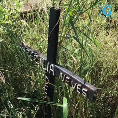 Mato alto em cemitério em Cariacica