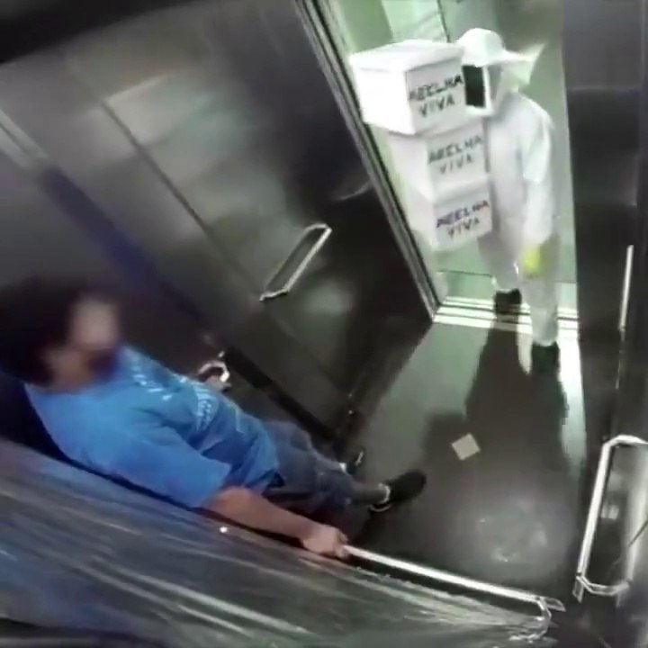 Quand un apiculteur fait tomber ses ruches dans un ascenseur : caméra cachée énorme