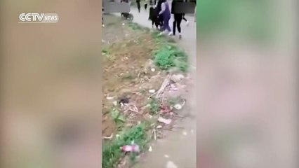 Footage: Girl gangs fight with pipes and machetes in Guangxi