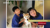 Crossover — Animal Wellfare and Animal Rights 12/10/2016 | CCTV