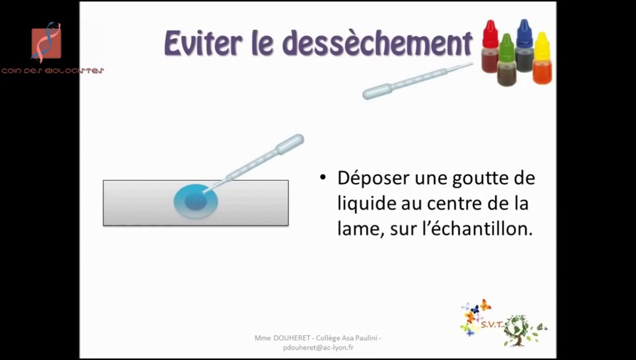 Que peut-on observer au microscope ?    on peut  observer de petits êtres vivants entiers (bactéries, unicellulaires) ou des fragments vivants de plus grands organismes (végétaux ou animaux). On peut aussi observer les minéraux.   Pour plus d'informations