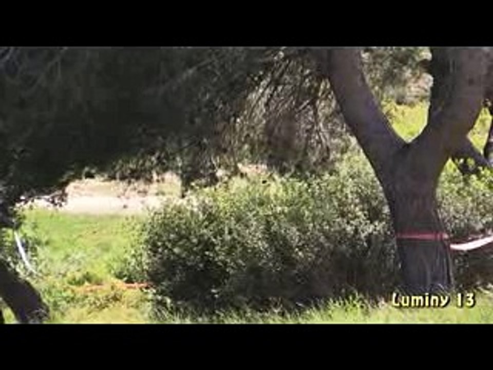 Course de C te de Vernègues 2015 sortie de route 205 F2000