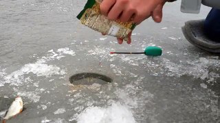 Ловля плотвы со льда, спортивная рыбалка на мормышку Avid Fisherman