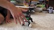 Zoomer Kitty Review, The Interive Pet Kitty Cat From Spinmaster