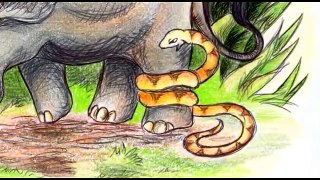 Viku and the Elephant, a childrens story from the forests of India