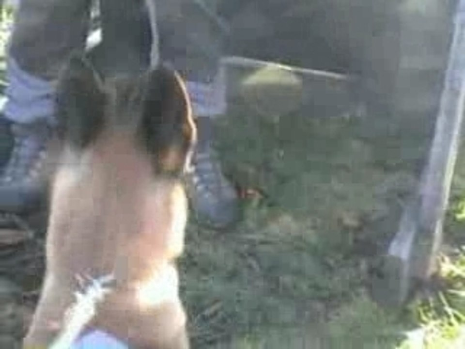 JAKE ZoeloeK9-Kennel - Schutz