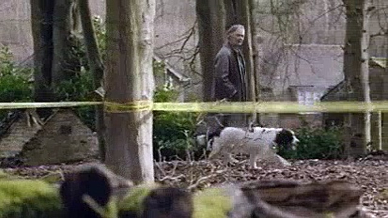 Lewis S08 E02 Entry Wounds  2