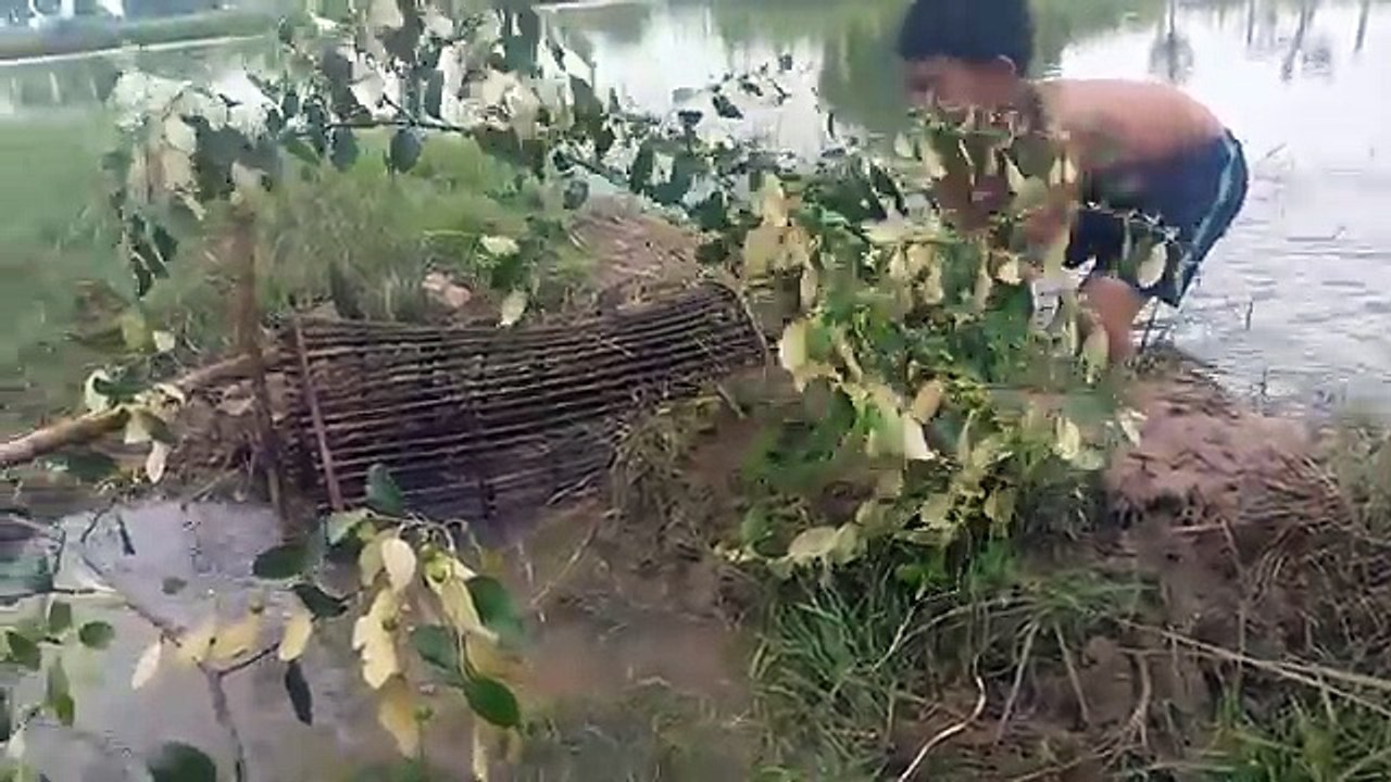 Amazing Boy Catching Fish With Fish Trap | How To Fishing With Fish Trap