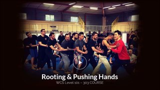 Rooting and Pushing hands - DK Yoo