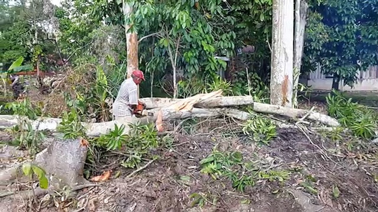 Persediaan Reban Ayam