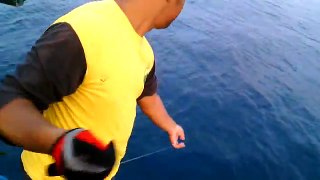 Handline fishing almost like pro