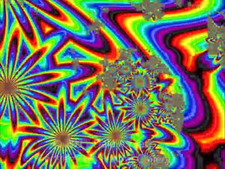 Psychedelic Flower Transformation