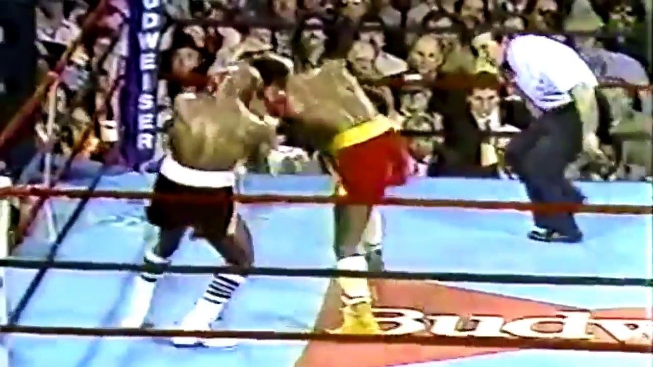 #Marvelous Marvin Hagler vs Wilford Scypion | Full Fight Highlights in HD