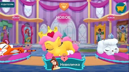 КОРОЛЕВСКИЕ ПИТОМЦЫ Пушистые истории игра про мультфильм развлекательное видео для детей #ПУРУМЧАТА