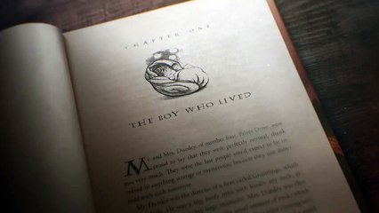 WandsReady - Fantastic Beasts_ The Crimes of Grindelwald Trailer Tease