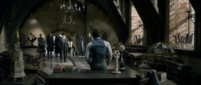 Fantastic Beasts: The Crimes of Grindelwald Teaser Trailer #1 (2018) | BarbaryTrailers