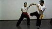 Wing Chun with Terence Yip Wing Chun Kicks Part 3