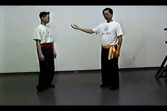 Wing Chun with Terence Yip Wing Chun Kicks Part 6
