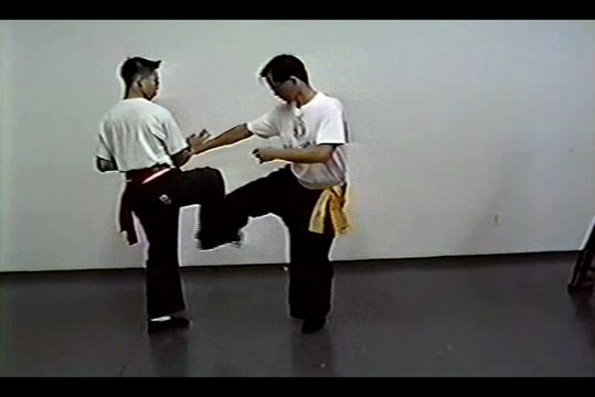 Wing Chun with Terence Yip Wing Chun Kicks Part 8