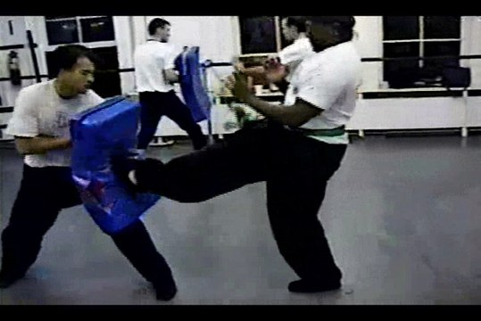 Wing Chun with Terence Yip Wing Chun Kicks Part 9