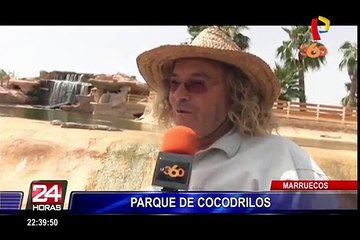 Presentan parque de cocodrilos en Marruecos