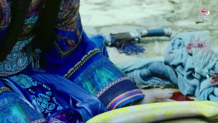 New Smiling Proud Wanderer (2018)  02