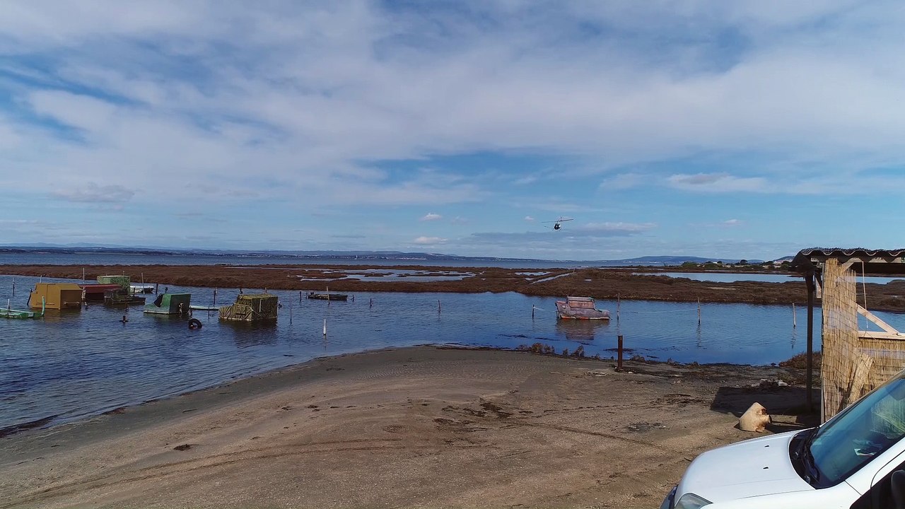les opérations de démoustication aérien ont commencé En savoir plus sur http://www.herault-tribune.com/articles/167672/environnement-les-operations-de-demoustication-aerien-ont-commence