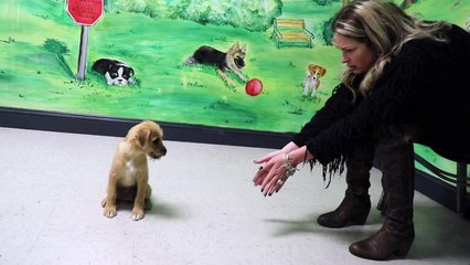 THE SIBLING I'VE NEVER MET BEFORE.. (MY DAD'S CHILD)