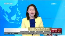 Singapore urban farming provides sustainable solutions