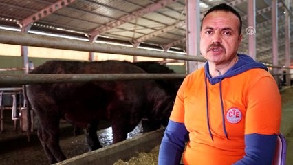 İlkokul diplomasıyla girdiği cezaevinde üniversiteyi bitirdi - EDİRNE