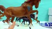 New Breyer Horses - Horse Collection Haul Video - Honeyheartsc