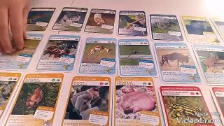 Karty z Biedronki SUPER ZWIERZAKI poznaj wspaniałe dzikie zwierzęta cześć 3