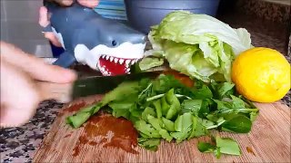 shark toy playing making salad
