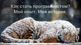 Как стать программистом? - Моя история, мой опыт! | Из личного опыта.