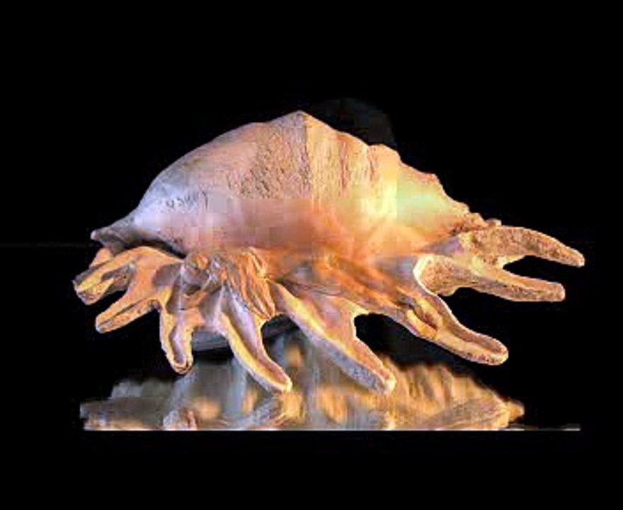 Nathalie Sury Sculpteur